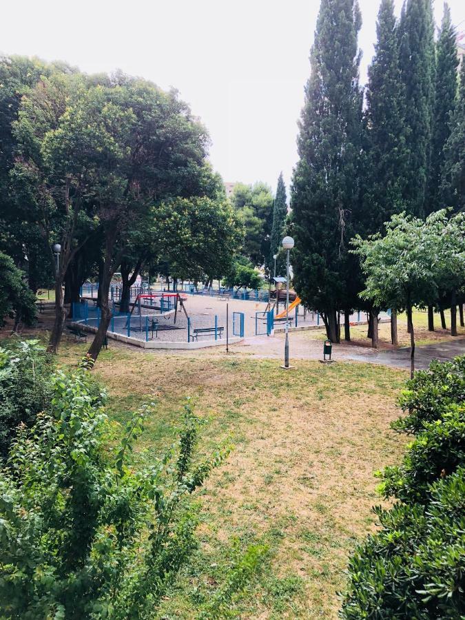 Split Right Place****Cozy And Completely New Εξωτερικό φωτογραφία