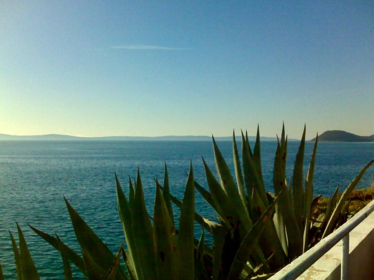Split Right Place****Cozy And Completely New Εξωτερικό φωτογραφία
